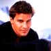 David Boreanaz